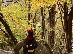 -叠溪松坪沟景区