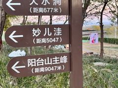 -阳台山自然风景区