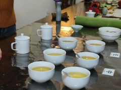 -诗宇时光茶艺书法古琴培训