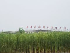 -西安浐灞国家湿地公园