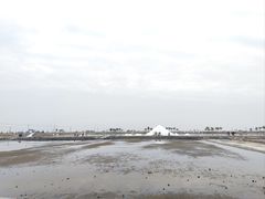 -莺歌海盐场