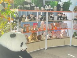 -IMON·HANSA潮玩玩偶毛绒玩具(通州万象汇店)