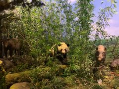 -陕西自然博物馆