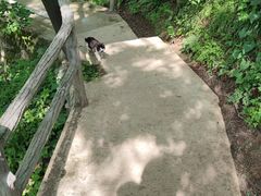 -太平万花山景区