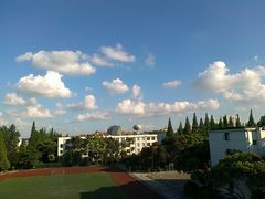-上海科学技术职业学院