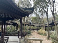 -上海佘山国家森林公园天马山园