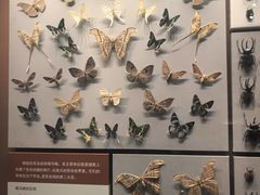 -天津自然博物馆