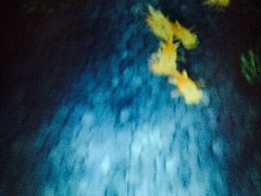 8餐厅-8餐厅(新葡京酒店)