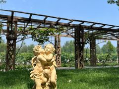 -北京张裕爱斐堡酒庄