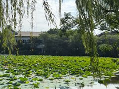 -范蠡湖公园