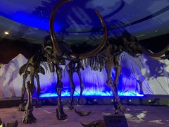 -亿利库布其七星湖沙漠生态旅游区