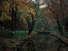 -上海共青森林公园