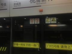 -桃浦新村(地铁站)