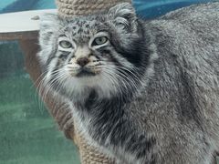 -青藏高原野生动物园
