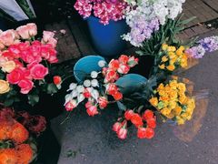 -循礼门鲜花花市(武汉循礼门店)