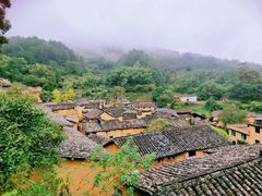 -杨家堂村