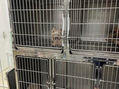 -宠福鑫康馨动物医院·骨科·眼科