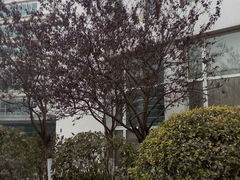 -中国医科大学附属盛京医院(滑翔院区)