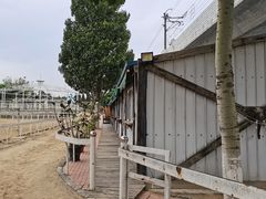 -大连凯洋马术俱乐部有限公司