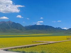 -扁都口生态休闲旅游区