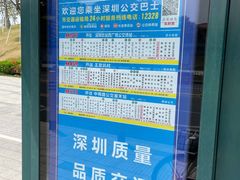 -白石龙音乐公园