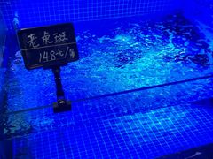 -渔民船说·北塘海鲜·天津菜·海肠捞饭(北塘古镇店)
