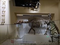 -国家自然博物馆