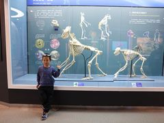 -国家自然博物馆