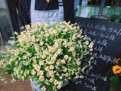 -Butchart布查德鲜花(花艺设计中心)