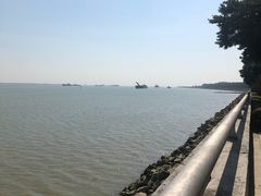 -大湾区中央湿地公园