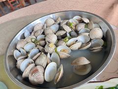 河蛤-贤鲁岛贤溪农庄