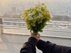 -龙塔