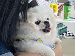 -怪兽屋·羊驼·猫咖·狗咖(俊华广场店)