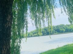 -上海月湖雕塑公园