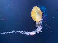 -欢乐海岸海洋奇梦馆