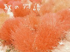 -映月湖中央公园