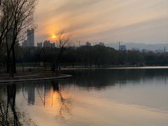 -森林公园(尖草坪区)