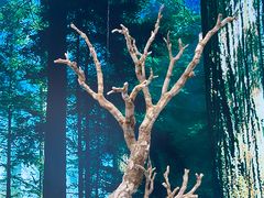 -延庆地质公园博物馆