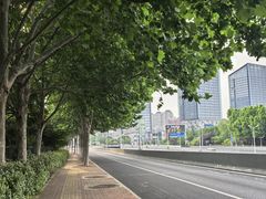 -合肥大剧院