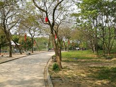 -天适樱花悠乐园