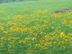 -中国矿业大学（南湖校区）-图书馆