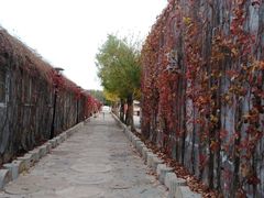 -河北村民俗体验园