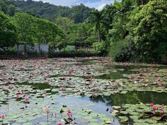 -野象谷景区