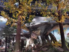 -湖南省地质博物馆