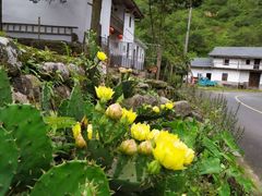 -井冈山风景名胜区