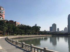 景点-白鹭洲公园
