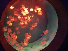 -杭州长乔极地海洋公园