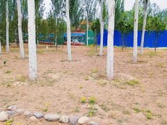 -北京麋鹿生态实验中心