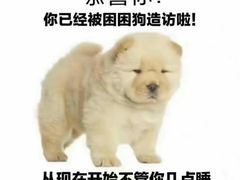-西塔老太太泥炉烤肉