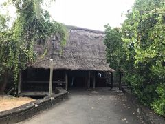 -塞尔夫岛
